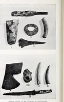 An illustration from Surrey archaeological collections, relating to the history and antiquities of the county (1909)