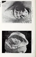 An illustration from Surrey archaeological collections, relating to the history and antiquities of the county (1911)