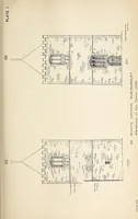 An illustration from Surrey archaeological collections, relating to the history and antiquities of the county (1911)