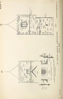An illustration from Surrey archaeological collections, relating to the history and antiquities of the county (1911)