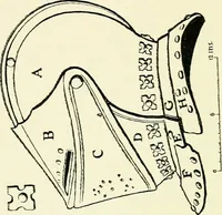 An illustration from Surrey archaeological collections, relating to the history and antiquities of the county (1854)