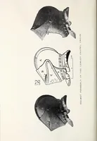 An illustration from Surrey archaeological collections, relating to the history and antiquities of the county (1919)