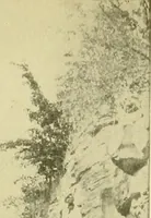 An illustration from Surveying ; a manual of practical instruction in the art of plane surveying, including plotting, leveling, triangulation, line running, cross-sectioning, traversing, and other details of field work (1910)