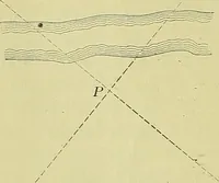 An illustration from Surveying and tables (1903)
