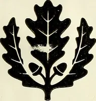 Picture 8 of 9 from A survey of history: or, A nursery for gentry (1638), leaf 466