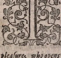 An illustration from A survey of the summe of church-discipline. Wherein the way of the churches of New-England is warranted out of the Word, and all exceptions of weight, which are made against it, answered: Whereby also it will appear to the judicious reader, that something more must be said, then yet hath been, before their principles can be shaken, or they should be unsetled in their practice (1648)