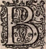 An illustration from A survey of the summe of church-discipline. Wherein the way of the churches of New-England is warranted out of the Word, and all exceptions of weight, which are made against it, answered: Whereby also it will appear to the judicious reader, that something more must be said, then yet hath been, before their principles can be shaken, or they should be unsetled in their practice (1648)