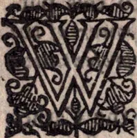 An illustration from A survey of the summe of church-discipline. Wherein the way of the churches of New-England is warranted out of the Word, and all exceptions of weight, which are made against it, answered: Whereby also it will appear to the judicious reader, that something more must be said, then yet hath been, before their principles can be shaken, or they should be unsetled in their practice (1648)
