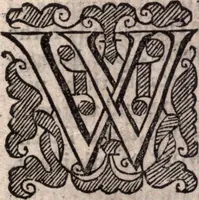An illustration from A survey of the summe of church-discipline. Wherein the way of the churches of New-England is warranted out of the Word, and all exceptions of weight, which are made against it, answered: Whereby also it will appear to the judicious reader, that something more must be said, then yet hath been, before their principles can be shaken, or they should be unsetled in their practice (1648)