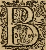 An illustration from A survey of the summe of church-discipline : wherein the way of the churches of New-England is warranted out of the Word, and all exceptions of weight, which are made against it, answered: Whereby also it will appear to the judicious reader, that something more must be said, then yet hath been, before their principles can be shaken, or they should be unsetled in their practice (1648)
