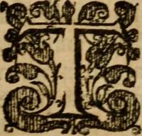 An illustration from A survey of the summe of church-discipline : wherein the way of the churches of New-England is warranted out of the Word, and all exceptions of weight, which are made against it, answered: Whereby also it will appear to the judicious reader, that something more must be said, then yet hath been, before their principles can be shaken, or they should be unsetled in their practice (1648)