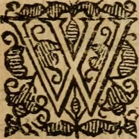 An illustration from A survey of the summe of church-discipline : wherein the way of the churches of New-England is warranted out of the Word, and all exceptions of weight, which are made against it, answered: Whereby also it will appear to the judicious reader, that something more must be said, then yet hath been, before their principles can be shaken, or they should be unsetled in their practice (1648)