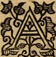 An illustration from A survey of the summe of church-discipline : wherein the way of the churches of New-England is warranted out of the Word, and all exceptions of weight, which are made against it, answered: Whereby also it will appear to the judicious reader, that something more must be said, then yet hath been, before their principles can be shaken, or they should be unsetled in their practice (1648)