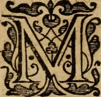 An illustration from A survey of the summe of church-discipline : wherein the way of the churches of New-England is warranted out of the Word, and all exceptions of weight, which are made against it, answered: Whereby also it will appear to the judicious reader, that something more must be said, then yet hath been, before their principles can be shaken, or they should be unsetled in their practice (1648)