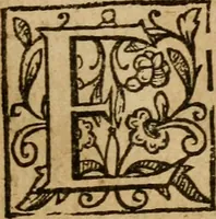 An illustration from A survey of the summe of church-discipline : wherein the way of the churches of New-England is warranted out of the Word, and all exceptions of weight, which are made against it, answered: Whereby also it will appear to the judicious reader, that something more must be said, then yet hath been, before their principles can be shaken, or they should be unsetled in their practice (1648)