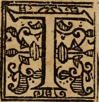 An illustration from A survey of the summe of church-discipline : wherein the way of the churches of New-England is warranted out of the Word, and all exceptions of weight, which are made against it, answered: Whereby also it will appear to the judicious reader, that something more must be said, then yet hath been, before their principles can be shaken, or they should be unsetled in their practice (1648)