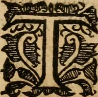 An illustration from A survey of the summe of church-discipline : wherein the way of the churches of New-England is warranted out of the Word, and all exceptions of weight, which are made against it, answered: Whereby also it will appear to the judicious reader, that something more must be said, then yet hath been, before their principles can be shaken, or they should be unsetled in their practice (1648)