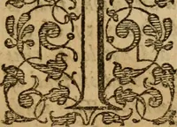 An illustration from A survey of the summe of church-discipline : wherein the way of the churches of New-England is warranted out of the Word, and all exceptions of weight, which are made against it, answered: Whereby also it will appear to the judicious reader, that something more must be said, then yet hath been, before their principles can be shaken, or they should be unsetled in their practice (1648)