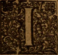 An illustration from A survey of the spiritvall Antichrist : Opening the secrets of Familisme and Antinomianisme in the antichristian doctrine of John Saltmarsh, and Will. Del., the present preachers of the army now in England, and of Robert Town, Tob. Crisp, H. Denne, Eaton, and others. In which is revealed the rise and spring of Antinomians, Familists, Libertines, Swenck-feldians, Enthysiasts, &c. The minde of Luther a most professed opposer of Antinomians, is cleared, and diverse considerable points of the law and the Gospel, of the spirit and letter, of the two covenants, of the nature of free grace, exercise under temptations, mortification, justification, sanctification, are discovered : In two parts (1648)