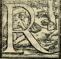 An illustration from Svccessi del viaggio d'Henrico III, christianiss.mo re di Francia, e di Polonia, dalla sva partita di Craccovia fino all'arrivo in Tvrino (1574)