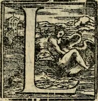 An illustration from Svccessi del viaggio d'Henrico III, christianiss.mo re di Francia, e di Polonia, dalla sva partita di Craccovia fino all'arrivo in Tvrino (1574)