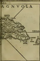 An illustration from Svmmario de la generale historia de l'Indie occidentali : cavato da libri scritti dal signor don Pietro Martyre, del Consignio delle Indie della maesta de l'imperadore, et da molte altre particvlari relationi (1534)