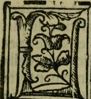 An illustration from Svmmario de la generale historia de l'Indie occidentali : cavato da libri scritti dal signor don Pietro Martyre, del Consignio delle Indie della maesta de l'imperadore, et da molte altre particvlari relationi (1534)