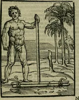 An illustration from Svmmario de la generale historia de l'Indie occidentali : cavato da libri scritti dal signor don Pietro Martyre, del Consignio delle Indie della maesta de l'imperadore, et da molte altre particvlari relationi (1534)