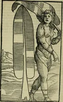 Picture 7 of 8 from Svmmario de la generale historia de l'Indie occidentali : cavato da libri scritti dal signor don Pietro Martyre, del Consignio delle Indie della maesta de l'imperadore, et da molte altre particvlari relationi (1534), leaf 271