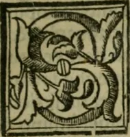 An illustration from Svmmario de la generale historia de l'Indie occidentali : cavato da libri scritti dal signor don Pietro Martyre, del Consignio delle Indie della maesta de l'imperadore, et da molte altre particvlari relationi (1534)