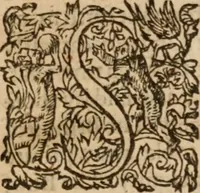 An illustration from The svmme and svbstance of the conference which it pleased His Excellent Majestie : to have with the Lords Bishops and others of his clergie (at which the most of the Lords of the Councell were present) in his Majesties Privie-chamber at Hampton Court, Ianu. 14, 1603 (1638)