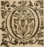 An illustration from The svmme and svbstance of the conference which it pleased His Excellent Majestie : to have with the Lords Bishops and others of his clergie (at which the most of the Lords of the Councell were present) in his Majesties Privie-chamber at Hampton Court, Ianu. 14, 1603 (1638)