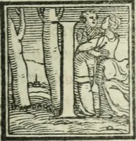 An illustration from Svpplimento delle piacevoli, ingeniose, et argutissime lettre. Indrizzate a diuersi, sotto varij, & bellissimi discorsi, nello antico volgare idioma composte, & dichiarite con moralissimi vocaboli (1556)