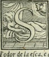 An illustration from Svpplimento delle piacevoli, ingeniose, et argutissime lettre. Indrizzate a diuersi, sotto varij, & bellissimi discorsi, nello antico volgare idioma composte, & dichiarite con moralissimi vocaboli (1556)