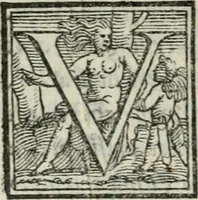 Picture 28 of 35 from Svpplimento delle piacevoli, ingeniose, et argutissime lettre. Indrizzate a diuersi, sotto varij, & bellissimi discorsi, nello antico volgare idioma composte, & dichiarite con moralissimi vocaboli (1556), leaf 119