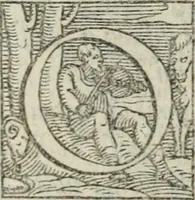 An illustration from Svpplimento delle piacevoli, ingeniose, et argutissime lettre. Indrizzate a diuersi, sotto varij, & bellissimi discorsi, nello antico volgare idioma composte, & dichiarite con moralissimi vocaboli (1556)