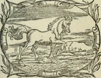 An illustration from Svpplimento delle piacevoli, ingeniose, et argutissime lettre. Indrizzate a diuersi, sotto varij, & bellissimi discorsi, nello antico volgare idioma composte, & dichiarite con moralissimi vocaboli (1556)