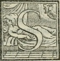 An illustration from Svpplimento delle piacevoli, ingeniose, et argutissime lettre. Indrizzate a diuersi, sotto varij, & bellissimi discorsi, nello antico volgare idioma composte, & dichiarite con moralissimi vocaboli (1556)