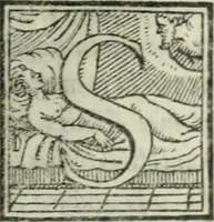 An illustration from Svpplimento delle piacevoli, ingeniose, et argutissime lettre. Indrizzate a diuersi, sotto varij, & bellissimi discorsi, nello antico volgare idioma composte, & dichiarite con moralissimi vocaboli (1556)