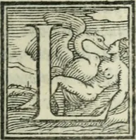 An illustration from Svpplimento delle piacevoli, ingeniose, et argutissime lettre. Indrizzate a diuersi, sotto varij, & bellissimi discorsi, nello antico volgare idioma composte, & dichiarite con moralissimi vocaboli (1556)