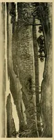 An illustration from Swedish art exhibition (1916)