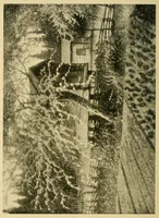 Picture 17 of 18 from Swedish art exhibition (1916), leaf 68