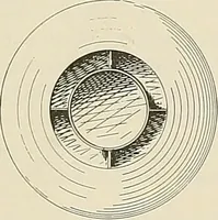 An illustration from Sweet’s indexed catalogue of building construction for the year 1906 (1906)