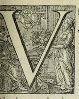 An illustration from 's Werelts begin, midden, eynde, besloten in den trou-ringh : met den proefsteen van den selven (1637)