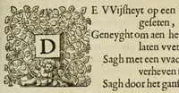 An illustration from 's Werelts begin, midden, eynde, besloten in den trou-ringh : met den proefsteen van den selven (1637)