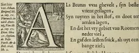 Picture 27 of 36 from 's Werelts begin, midden, eynde, besloten in den trou-ringh : met den proefsteen van den selven (1637), leaf 628
