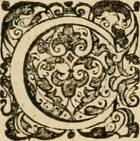 An illustration from Sylloge numismatum elegantiorum, quae diuersi impp., reges, principes, comites, respublicae diuersas ob causas ab anno 1500 ad annum usq[ue] 1600 cudi fecerunt, concinnata & historica narratione (sed breui) illustrata (1620)
