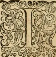 An illustration from Sylloge numismatum elegantiorum, quae diuersi impp., reges, principes, comites, respublicae diuersas ob causas ab anno 1500 ad annum usq[ue] 1600 cudi fecerunt, concinnata & historica narratione (sed breui) illustrata (1620)
