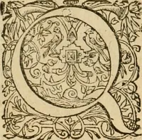An illustration from Sylloge numismatum elegantiorum, quae diuersi impp., reges, principes, comites, respublicae diuersas ob causas ab anno 1500 ad annum usq[ue] 1600 cudi fecerunt, concinnata & historica narratione (sed breui) illustrata (1620)