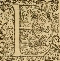An illustration from Sylloge numismatum elegantiorum, quae diuersi impp., reges, principes, comites, respublicae diuersas ob causas ab anno 1500 ad annum usq[ue] 1600 cudi fecerunt, concinnata & historica narratione (sed breui) illustrata (1620)